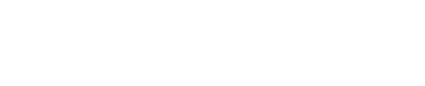 logo fly